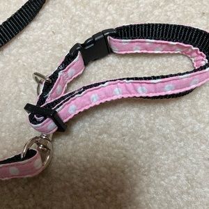ITEM NO. 16: Small collar and leash.